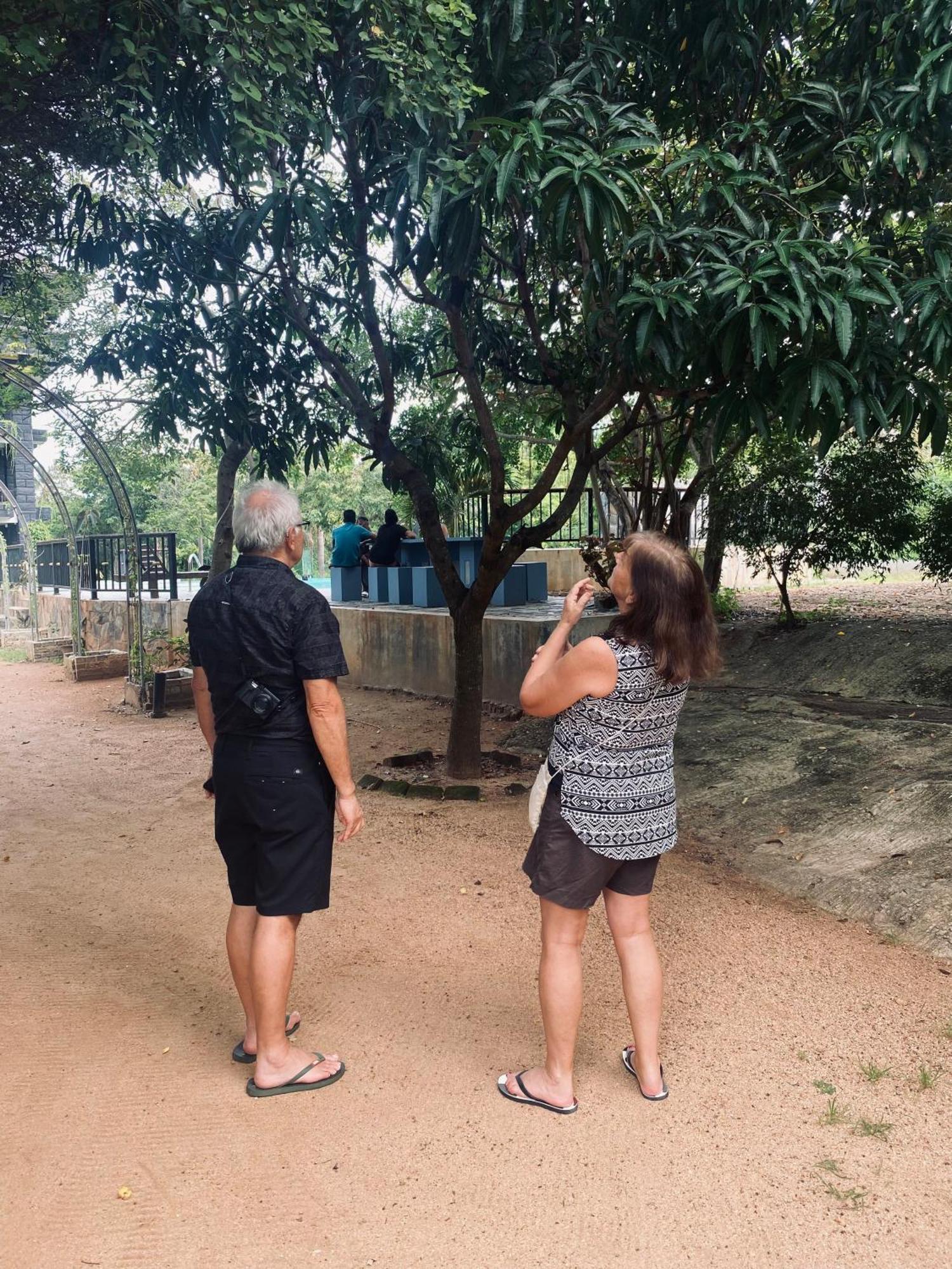 Sigiriya Kingdom Resort ダンブッラ エクステリア 写真